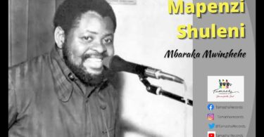 Mbaraka Mwinshehe - Mapenzi Shuleni MP3 download