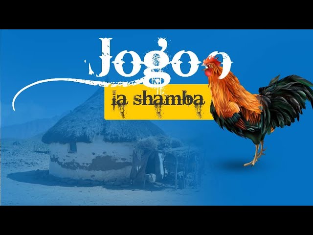 Mbaraka Mwinshehe - Jogoo la Shamba MP3 DOWNLOAD